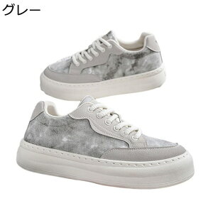 Y Xj[J[ XP[g{[hV[Y [Jbg [XAbv ^C JWA EH[LOV[Y h ʋC y ₷ K X|[c ʊw ʋ  fbLV[Y