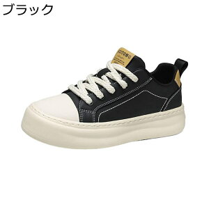 Y Xj[J[ XP[g{[hV[Y [Jbg  y X|[c EH[LO JWAV[Y [XAbv h ʋC ₷ K ʊw ʋ  fbLV[Y