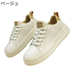 Y Xj[J[ XP[g{[hV[Y [Jbg  y X|[c EH[LO JWAV[Y [XAbv h ʋC ₷ K ʊw ʋ  fbLV[Y