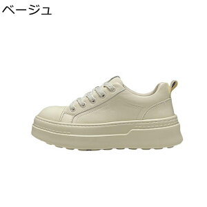 Xj[J[ Y U[ v XP{[V[Y [Jbg  ^C JWA EH[LOV[Y h ʋC ϖ ₷ ₷ AEghA ʊw ʋ 풅p