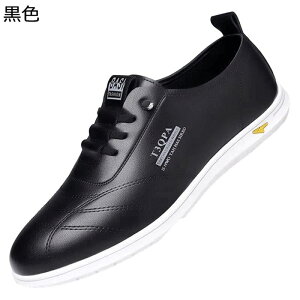 JWA ^ Y OH ^]C Xj[J[ X|[c tďH~ amC EH[LOV[Y EH[LO w ʋC ʋ ₷ JbRCC Vv 