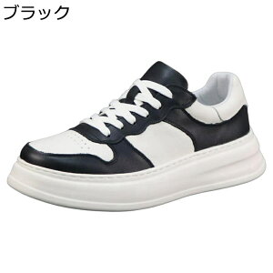 Xj[J[ Y U[ XP[gV[Y v [XAbv X|[c EH[LO JWAV[Y h ʋC  RtH[g ₷ AEghA ʊw ʋ 풅p