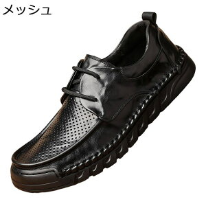 [XAbv U[ {v rWlXV[Y RC Y amC JWA AEghA OH I[V[Y  ̓ w l Ў ގ a