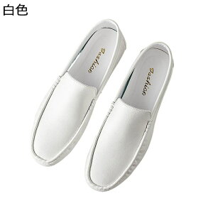 [t@[ PUU[ Xb| Y hCrOV[Y JV ^]C JWA Vv t@bV ₷ ʋΒʊw  V Ǝ w  