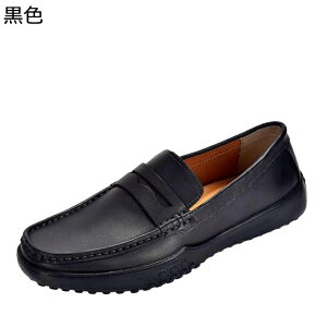 JWAV[Y v ^] JV Xb| [t@[ hCrOV[Y EH[LOV[Y JWA Y jC tČC H~p ʋΒʊw Vv {v U[ u