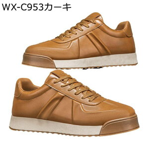 Xj[J[ Y XP[gV[Y [Jbg vC [XAbv X|[c JWA EH[LOV[Y h ʋC ϖ ₷ ₷  AEghA ʋΒʊw