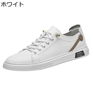 Y Xj[J[ XP{[V[Y [t@[ vC Xb| JWA EH[LOV[Y ^C m[X[u ʋC  ₷ K ʊw ʋ  fbLV[Y