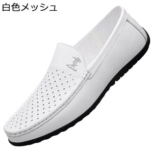 {v JV Xb| EH[LOV[Y bV t  U[ v JWA Y jC tČC H~p ₷ NbV y Vv Ȗ ʋ 