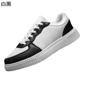 Xj[J[ Y XP[gV[Y jp  [XAbv X|[c JWA EH[LOV[Y h ʋC ϋv ₷ ₷ AEghA ʊw ʋ 풅p