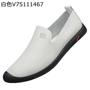 Xb| [t@[ Y rWlXV[Y hCrOV[Y JV ^]C  t ׂ v U[ t@bV tH[} Vv ʋ ʊw K AE 