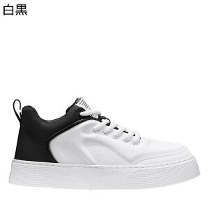 Y Xj[J[ H XP[g{[hV[Y vC [XAbv X|[c EH[LO JWAV[Y m[X[u ʋC ϋv RtH[g ₷  AEghA 