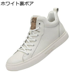 Y XP[gV[Y nCJbg v Xj[J[ U[ V[gu[c H~ [XAbv JWA EH[LOV[Y X|[c ~ ʋC ₷ ʊw ʋ 