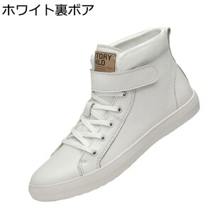 V[gu[c Y U[ nCJbg Xj[J[ v XP[g{[hV[Y H~ EH[LO JWAV[Y h ʋC  ₷ K ʊw ʋ 