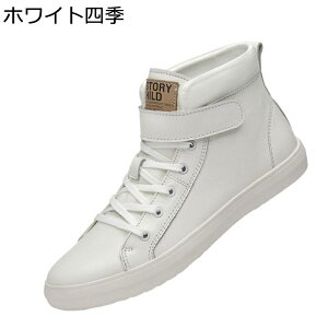 V[gu[c Y U[ nCJbg Xj[J[ v XP[g{[hV[Y H~ EH[LO JWAV[Y h ʋC  ₷ K ʊw ʋ 