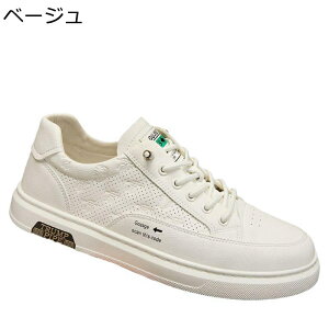 Xj[J[ Y XP[gV[Y vC [Jbg Xb| JWA EH[LOV[Y X|[c ~ ʋC RtH[g ₷ AEghA ʊw ʋ 풅p