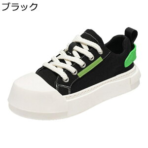 Xj[J[ Y LoX JWAV[Y  XP[g{[hV[Y [Jbg [XAbv X|[c EH[LO m[X[u ʋC y ₷ AEghA 풅p