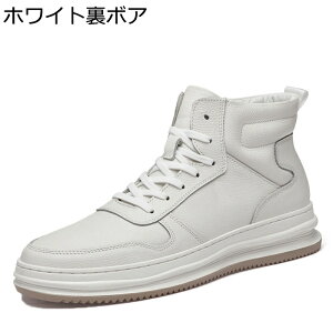 Y Xj[J[ H~ XP[g{[hV[Y nCJbg v U[ JWAV[Y ^C EH[LO Ȃ ʋC [XAbv  ₷ K ʊw ʋ 