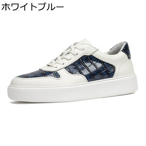 春秋 スニーカー メンズ レザー 本革 スケボーシューズ ローカット レースアップ カジュアルシューズ スポーツ ウォーキング 滑り止め 通気性 軽量 コンフォート 通学 通勤 日常着用