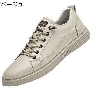 Y Xj[J[ rWlX vC XP[g{[hV[Y [Jbg [XAbv ^C JWA EH[LOV[Y ~ ʋC ϋv ₷ K ʊw ʋ 