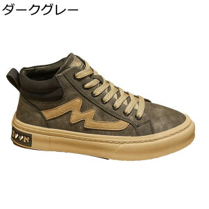 Xj[J[ Y XP[gV[Y nCJbg H~ [XAbv ^C JWA EH[LOV[Y Ȃ ʋC y ₷ K AEghA ʊw ʋ 풅p