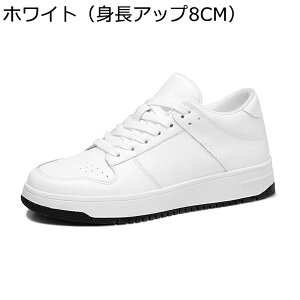 Xj[J[ Y XP[gV[Y v Cq[ gAbv JWA EH[LOV[Y X|[c ~ ʋC ϋv ₷ K  AEghA ʋΒʊw