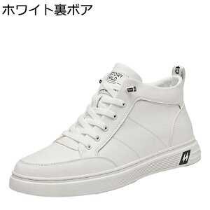 Y Xj[J[ nCJbg vC JWAV[Y H~ Xb| tbg ^C EH[LO XP[gV[Y h ʋC  V[gu[c AEghA ʊw ʋ