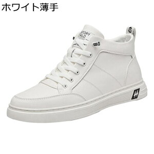 Y Xj[J[ nCJbg vC JWAV[Y H~ Xb| tbg ^C EH[LO XP[gV[Y h ʋC  V[gu[c AEghA ʊw ʋ