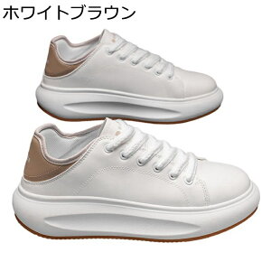 Xj[J[ Y  XP[g{[hV[Y v [Jbg X|[c JWA EH[LOV[Y m[X[u ʋC ₷ ₷  AEghA ʋΒʊw