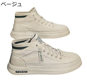 Xj[J[ Y vC JWAV[Y XP[g{[hV[Y nCJbg h [XAbv ^C EH[LO h ʋC  ₷ K tbg ʊw ʋ 