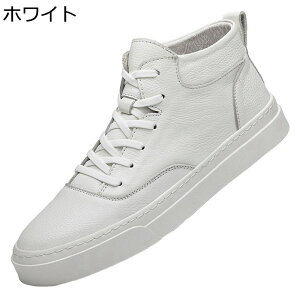 U[ Xj[J[ nCJbg Y XP{[V[Y H V[gu[c v [XAbv JWA EH[LOV[Y X|[c m[X[u ʋC ϖ ₷ 풅p