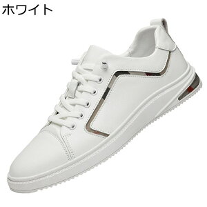 Y Xj[J[ JWAV[Y vC rWlX Xb| H XP[g{[hV[Y X|[c EH[LO Ȃ ʋC  ₷ ₷ AEghA ʊw 