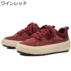 Xj[J[ Y v JWAV[Y  XP{[V[Y g [XAbv ^C EH[LO Ȃ ʋC  RtH[g ₷ AEghA ʊw ʋ 