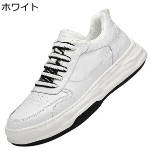 Xj[J[ Y  XP[g{[hV[Y vC [Jbg [XAbv X|[c JWA EH[LOV[Y Ȃ ʋC ϖ ₷ K AEghA 풅p