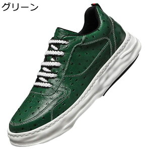 Xj[J[ Y  XP[g{[hV[Y vC [Jbg [XAbv X|[c JWA EH[LOV[Y Ȃ ʋC ϖ ₷ K AEghA 풅p