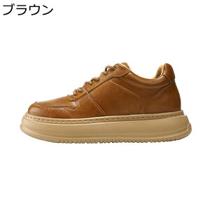 Y Xj[J[ Cq[7CM JWA vC XP[gV[Y [XAbv  ^C EH[LOV[Y Ȃ ʋC  RtH[g ₷ ʊw ʋ 