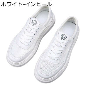 Xj[J[ Y XP{[V[Y  bV ʋC y [XAbv ^C JWA EH[LOV[Y Ȃ ₷ K AEghA X|[c ʊw ʋ 