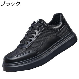 Xj[J[ Y XP{[V[Y  bV ʋC y [XAbv ^C JWA EH[LOV[Y Ȃ ₷ K AEghA X|[c ʊw ʋ 