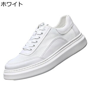 Xj[J[ Y XP{[V[Y  bV ʋC y [XAbv ^C JWA EH[LOV[Y Ȃ ₷ K AEghA X|[c ʊw ʋ 