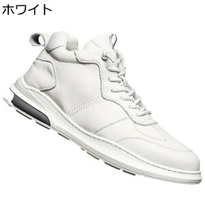 H~ Xj[J[ Y XP{[V[Y nCJbg vC [XAbv X|[c EH[LO JWAV[Y Ȃ ₷ ₷  AEghA ʋΒʊw