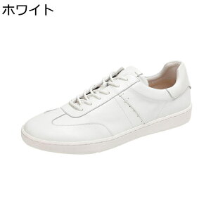 Y Xj[J[ g v U[ JWAV[Y ^C EH[LO rWlX XP{[V[Y [Jbg [XAbv Ȃ ʋC ₷ ₷ AEghA