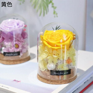  v[g KXh[ tFCNt[ t[u[P  t[u[P zCgf[ \ җj ?t[ NX}X ͂Ȃ bsv EBhE{bNX