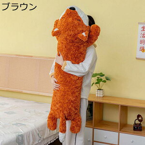 ʂ    n  ONbV \t@[w NGCeBu Ԃp 􂦂 C _炩 o^Cf[ CeA j X