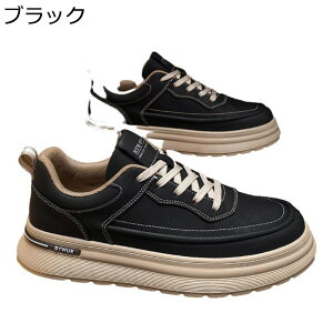 Y XP{[V[Y  g Xj[J[ v [XAbv ʋC  X|[c JWA EH[LOV[Y ~ ₷ K  AEghA ʋΒʊw