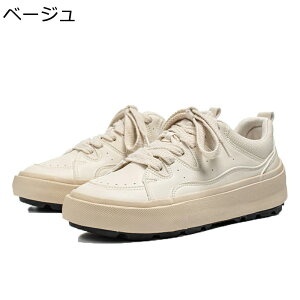 JWAV[Y  Xj[J[ Y v RtH[g ₷ AEghA XP{[V[Y g [XAbv ^C EH[LO Ȃ ʋC  ʊw ʋ 