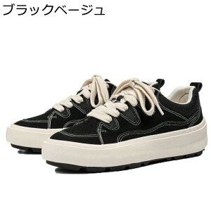 JWAV[Y  Xj[J[ Y v RtH[g ₷ AEghA XP{[V[Y g [XAbv ^C EH[LO Ȃ ʋC  ʊw ʋ 