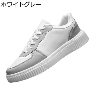 XP[gV[Y X|[c JWA EH[LOV[Y jp  Xj[J[ Y [XAbv h ʋC ϋv ₷ ₷ AEghA ʊw ʋ 풅p