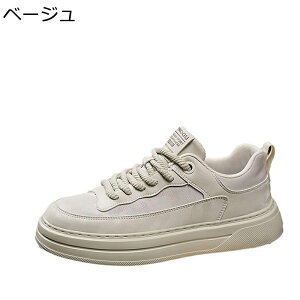 Y Xj[J[ X|[c JWAV[Y XP[gV[Y ʋC ₷ [XAbv [Jbg m[X[u K ϖ  EH[LO AEghA ʋΒʊw