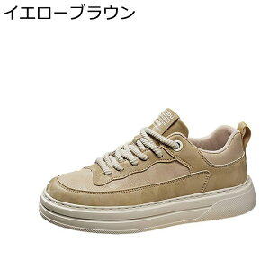 Y Xj[J[ X|[c JWAV[Y XP[gV[Y ʋC ₷ [XAbv [Jbg m[X[u K ϖ  EH[LO AEghA ʋΒʊw