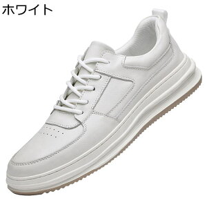 v XP[gV[Y U[ vC [XAbv Y Xj[J[ X|[c JWA EH[LOV[Y Ȃ ʋC RtH[g ₷ Vv AEghA ʋΒʊw