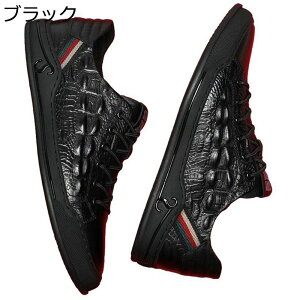 Y Xb| Xj[J[ vC NR^ X|[c JWA EH[LOV[Y XP{[V[Y [Jbg m[X[u ʋC ₷ ₷ ʊw ʋ 